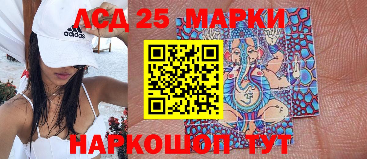 Псилоцибиновые грибы Наро-Фоминск